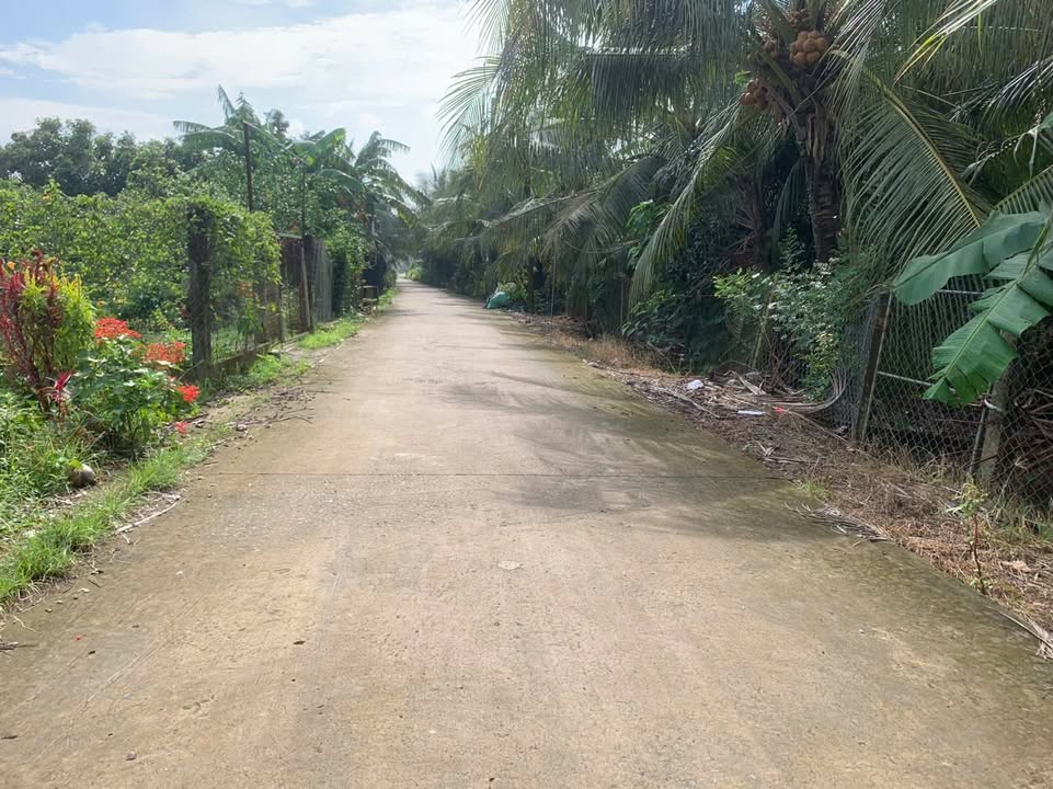 Đất nền Phước Thạnh, Mỹ Tho 175m² giá 700 triệu - Gần bệnh viện Đa Khoa Ao Sen!