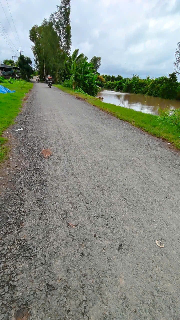 Đất nông nghiệp 1.593m² mặt tiền Kênh 8 Huệ, An Giang - Chính chủ bán gấp!