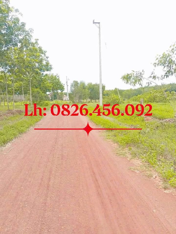 Đất nền Tân Xuân, Đồng Xoài 175m² giá chỉ 300 triệu - Cơ hội đầu tư hấp dẫn!