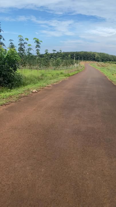 Đất nền Phước Tân, Phú Riềng 97m² giá 1.5 tỷ - Cơ hội đầu tư tuyệt vời!