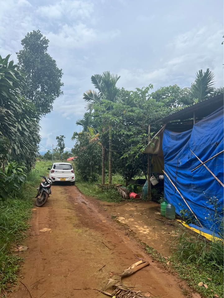 Farm đất Nhân Cơ Đắk Nông 76.000m² giá 1.7 tỷ - Đường đất bằng đẹp, điện nước đầy đủ!