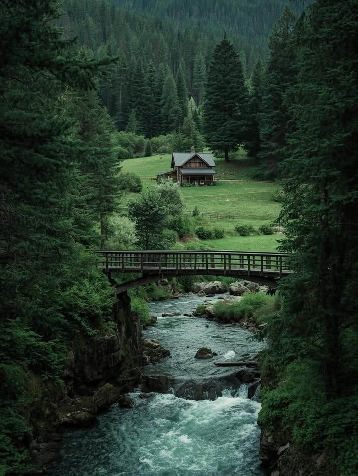 Đất nền xã Đông Thuận, Thới Lai, 119m² giá 330 triệu - Cơ hội đầu tư hấp dẫn!