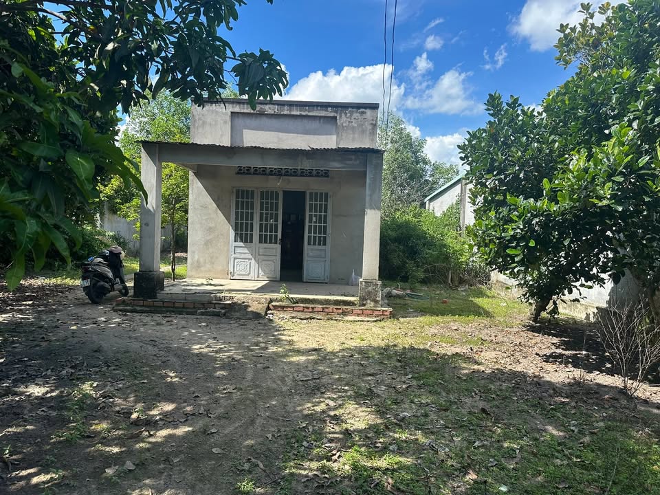 Đất thổ cư Tân Phú, Tân Châu 387m² - Mặt tiền đường nhựa, chính chủ bán gấp!