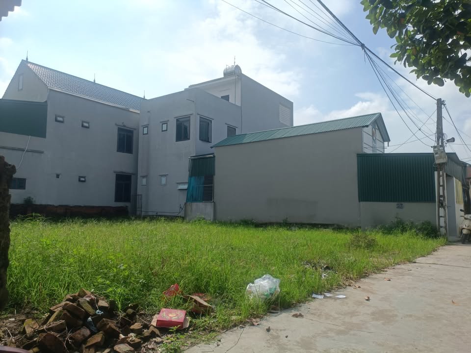 Đất nền 100m² tại Làng Dừa Văn Tố, Tứ Kỳ - Giá chỉ 700 triệu, nở hậu!