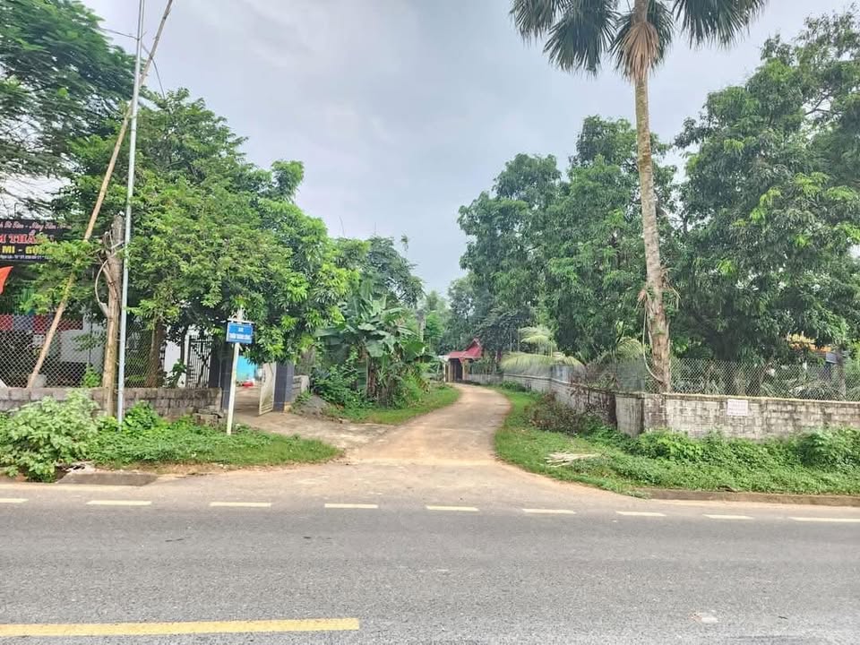 Đất thổ cư 700m² tại Thôn Thành Công - Giá 500 triệu - Cơ hội đầu tư tốt!