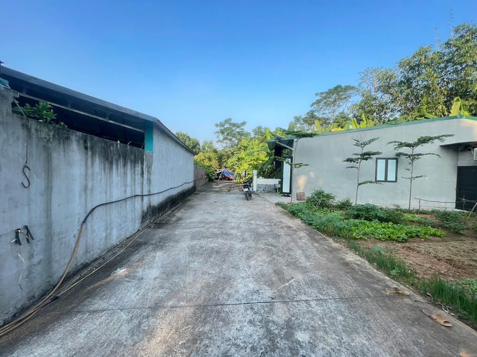 Lô đất Phường Lâu Việt Trì 92.2m² giá 880 triệu - Đầu tư sinh lời ngay!