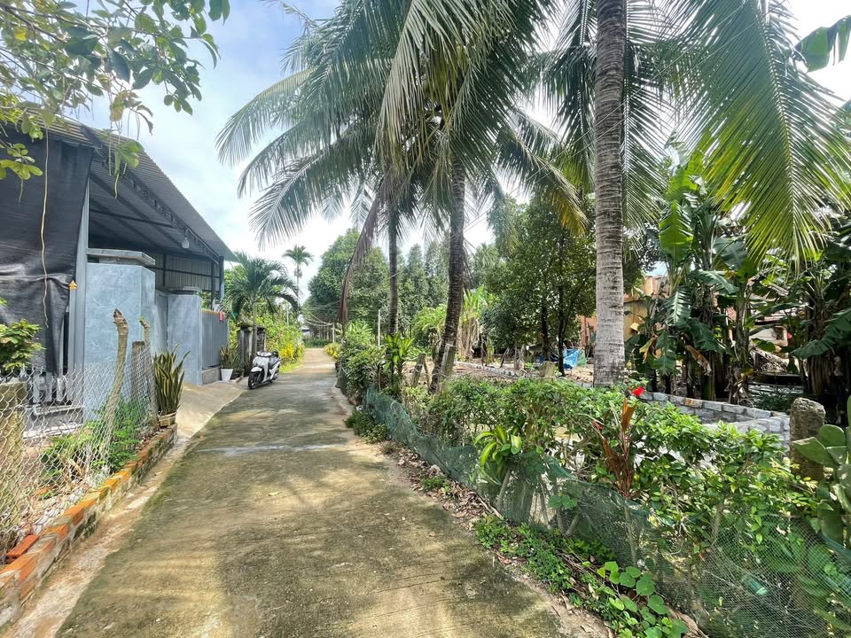 Đất thổ cư Hòa Thịnh 147m² giá 295 triệu - Cơ hội đầu tư hấp dẫn!