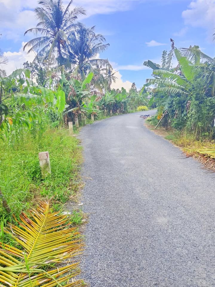 Đất nền mặt tiền đường nhựa 165m² xã Long Phú, Tam Bình - Giá chỉ 350 triệu!