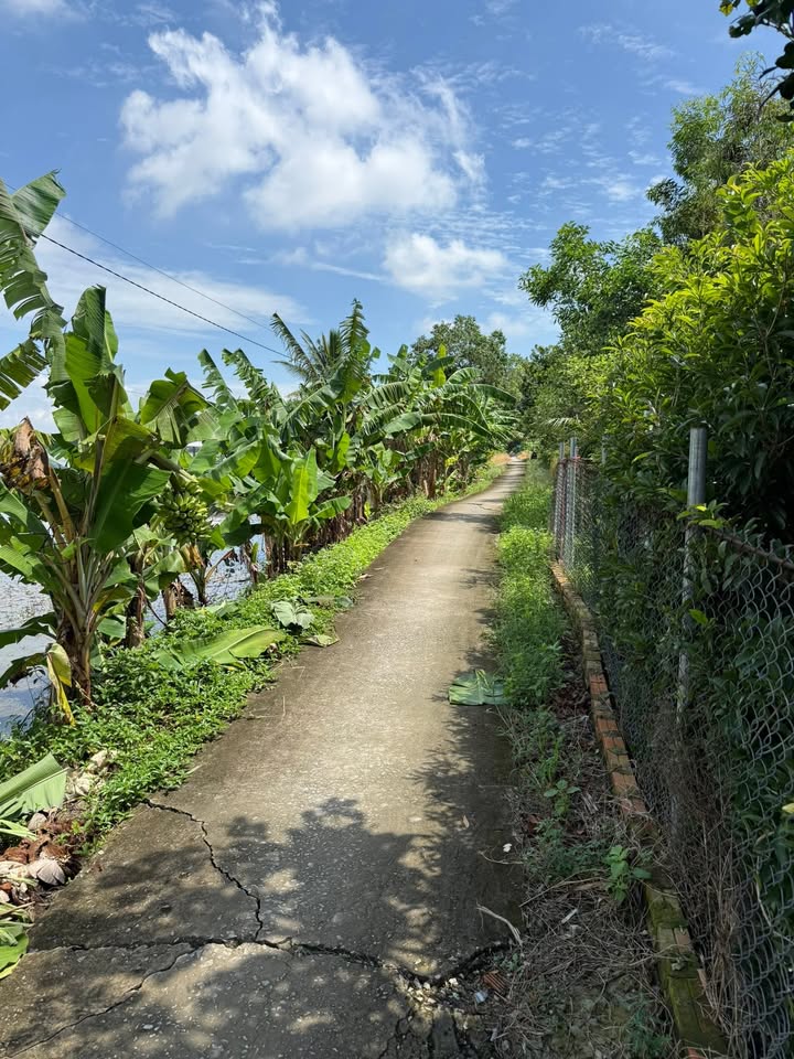 Đất nền Ấp Đá Nổi B, Thạnh Đông, Tân Hiệp 760m² giá 2.5 tỷ - Thích hợp xây nhà và làm vườn!