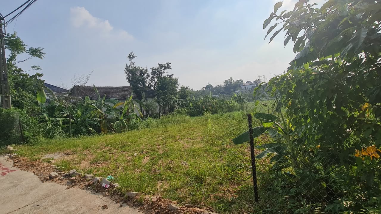 Đất nền 155m² mặt tiền 10m tại Tam Đảo, chỉ 1km đến Tây Thiên - Đầu tư sinh lời cao!