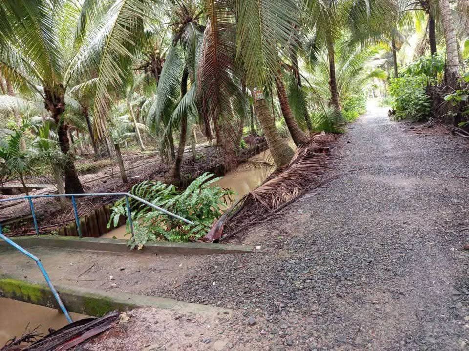 Đất vườn Dừa 70000m² tại Bình Đại, Bến Tre - Giá chỉ 600 triệu - Tặng nhà cấp bốn sử dụng tốt!