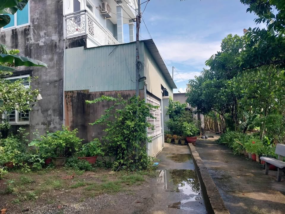 Đất nền hẻm 25 Trần Chánh Chiếu, Long Toàn 125m² - Giá chỉ 1.4 tỷ, sổ đỏ chính chủ!