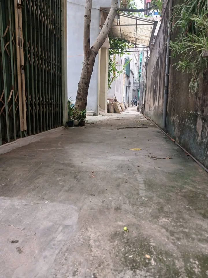 Đất nền Vĩnh Quỳnh 69m² giá 4 tỷ - Cơ hội đầu tư hiếm có!