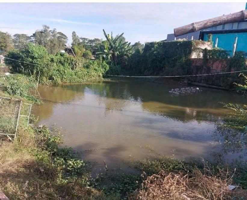 Đất nền Thường Lạc, Hồng Ngự 1104m² - Bán gấp với giá thỏa thuận!