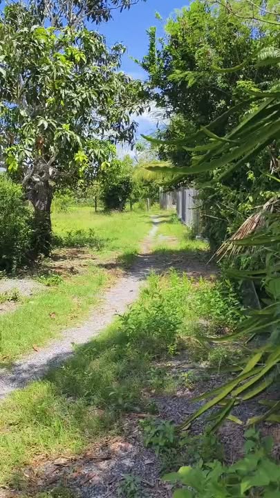 Đất thổ cư 907m² tại Ninh Thọ, Ninh Hòa chỉ 1.36 tỷ - Cơ hội đầu tư hấp dẫn!