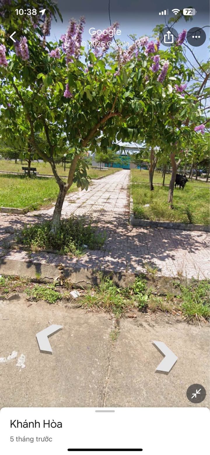 Đất tái định cư xã Đại Lãnh 150m² giá 1.5 tỷ - Vị trí đẹp đối diện công viên