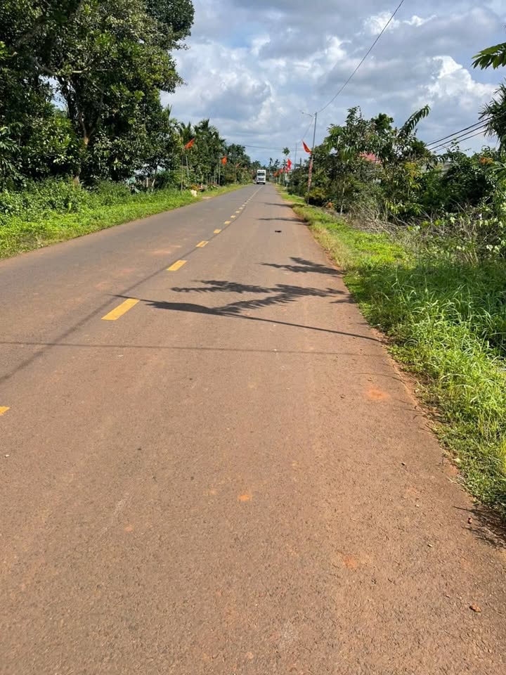 Đất nền mặt tiền đường nhựa Cư M'gar 1.4ha giá 8.5 tỷ - Pháp lý đầy đủ, tiện lợi cho đầu tư!