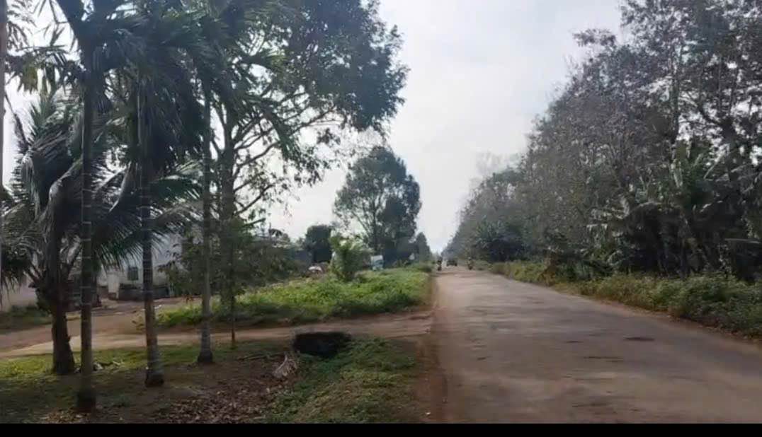 Kho xưởng 2160m² tại Quốc lộ 26, Krông Pắc chỉ 9.85 tỷ - Đầu tư sinh lời!