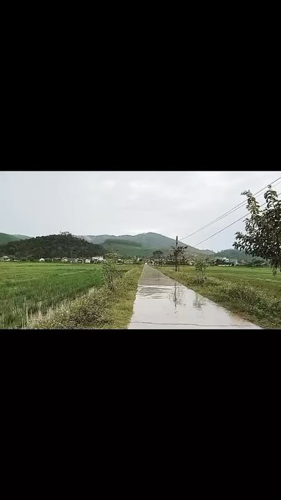 Đất Liên Xã 160m² tại Quan Thành, Yên Thành - Kinh doanh thuận lợi!