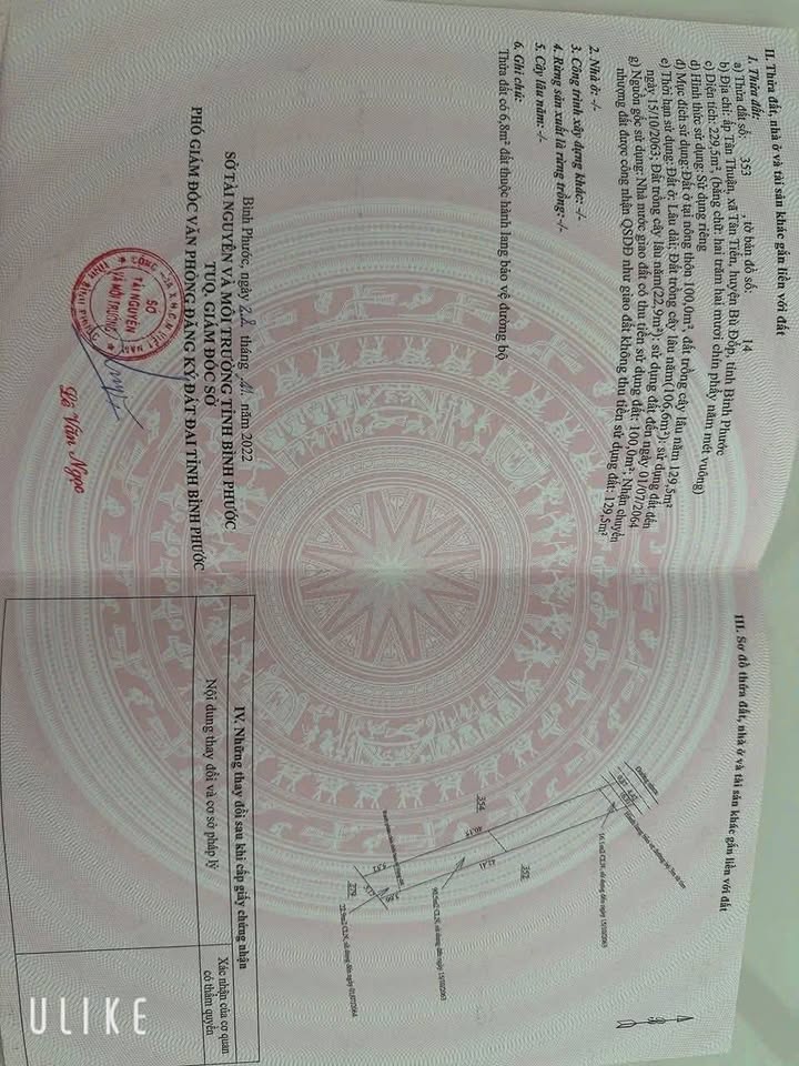 Đất nền Bù Đốp 225m² giá chỉ 380 triệu - Mặt tiền đường nhựa thuận lợi!