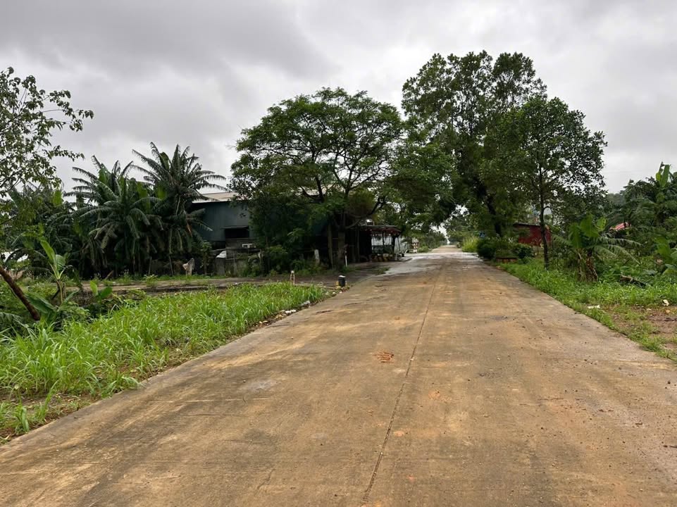 Đất nền Bắc Sơn, Tam Điệp 120m² giá 2 tỷ - Đường rộng 15m, đầu tư sinh lời!