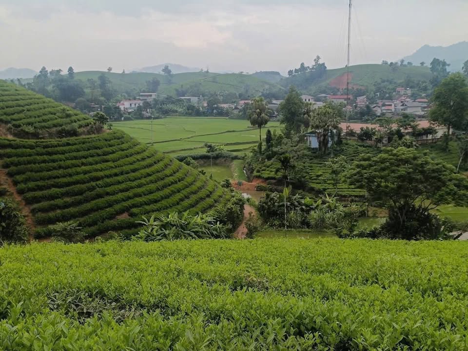 Đất nền homestay Long Cốc Phú Thọ 7.800m² giá 2 tỷ - Cơ hội đầu tư hấp dẫn!