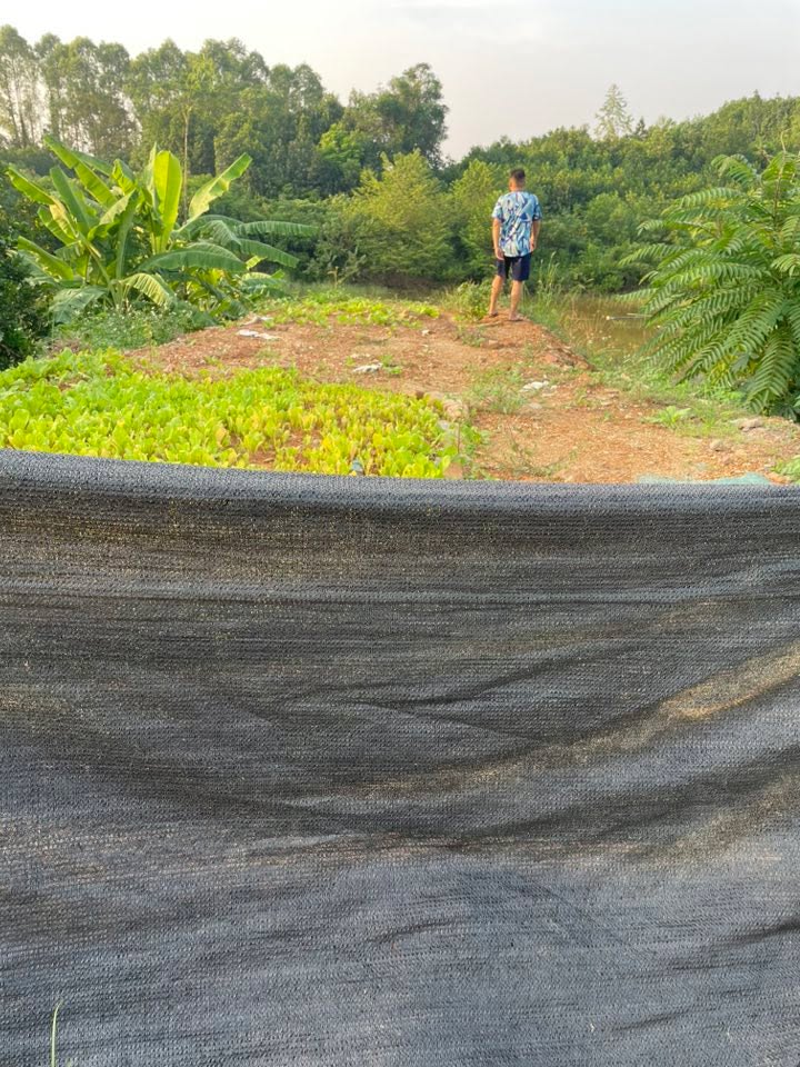 Đất nền Trưng Vương Việt Trì 85m² giá 3 tỷ - Vị trí đắc địa gần tiện ích