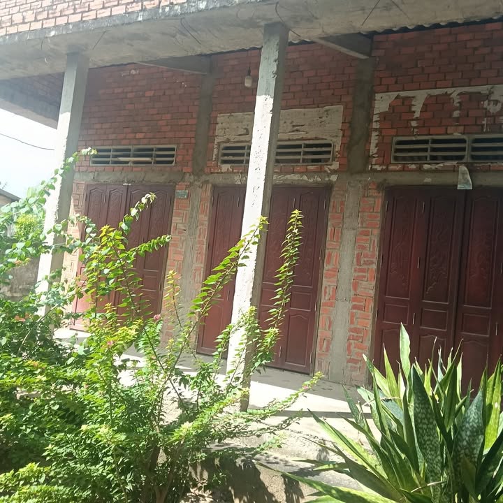 Đất thổ cư xã Mỹ Hòa, Ba Tri, Bến Tre 268m² giá 620 triệu - An ninh tốt, đông dân cư!