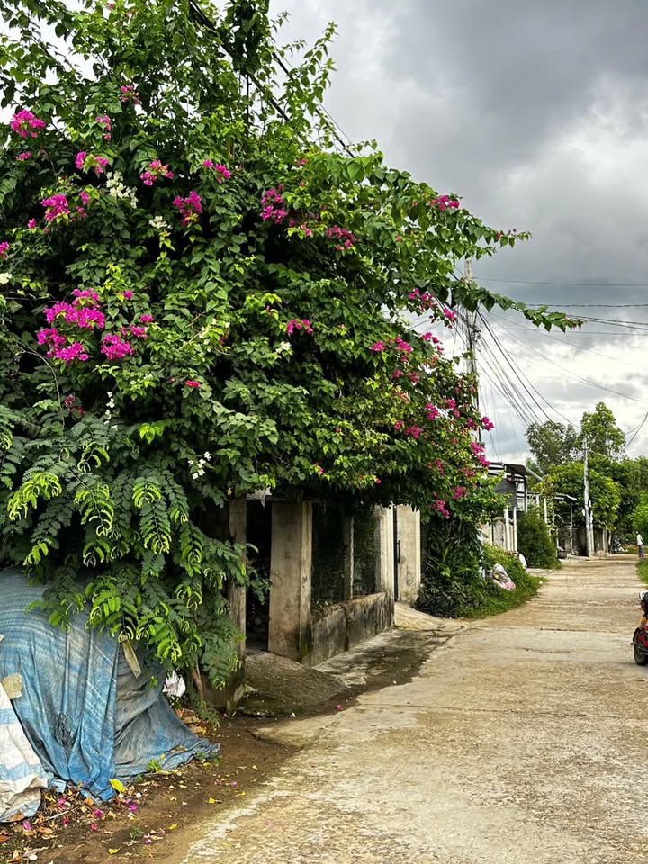 Đất nền Tây Xuân, Tây Sơn 156m² giá 600 triệu - Vị trí gần trường học