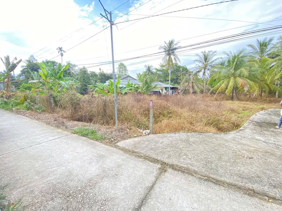 Đất nền xã Mỹ Thuận 119,3m² giá 299 triệu - View sông thoáng mát