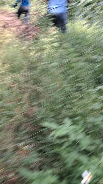 Đất rừng Nghĩa Lộc 70.000m² - Cơ hội đầu tư hấp dẫn!