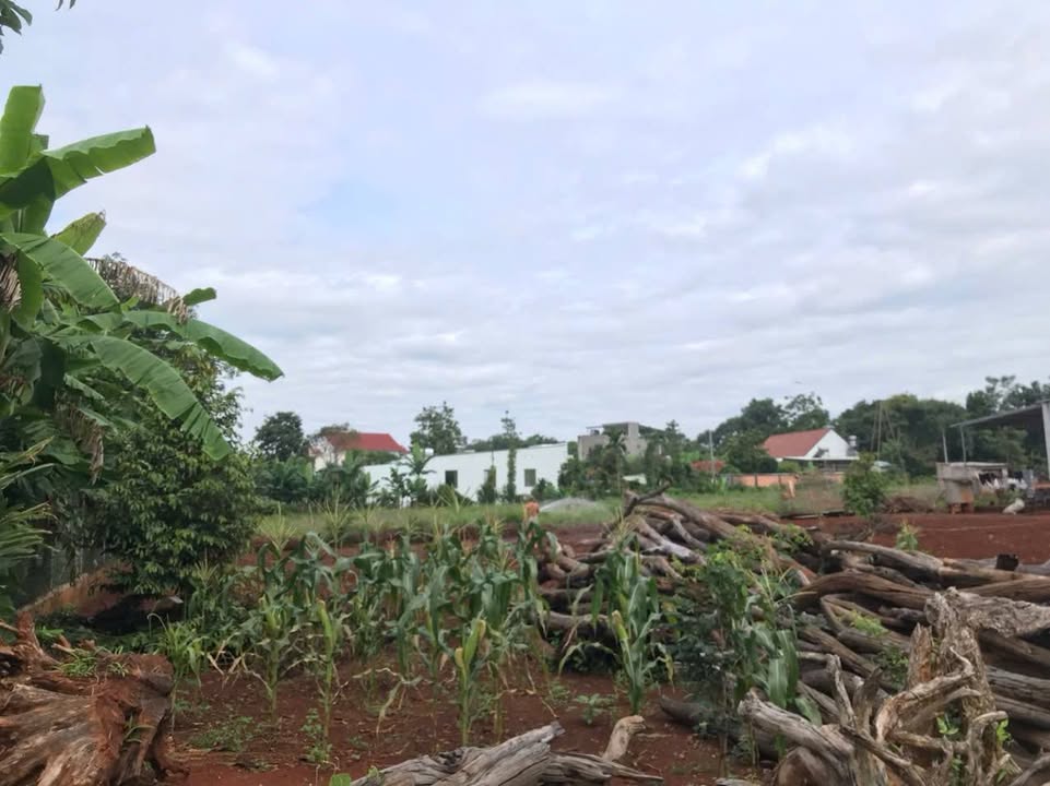 Đất nền Xuyên Mộc 340m² giá 1.45 tỷ - Sổ đỏ chính chủ, pháp lý rõ ràng!