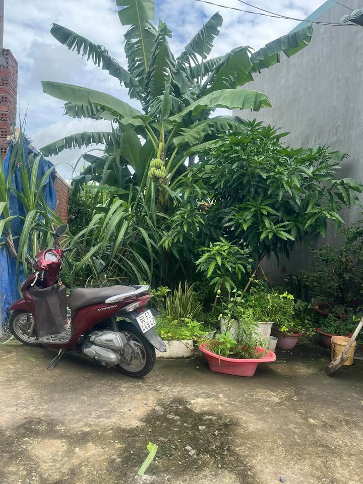 Đất nền Long Hưng Biên Hòa 115m² giá 850 triệu - Cơ hội đầu tư hấp dẫn!