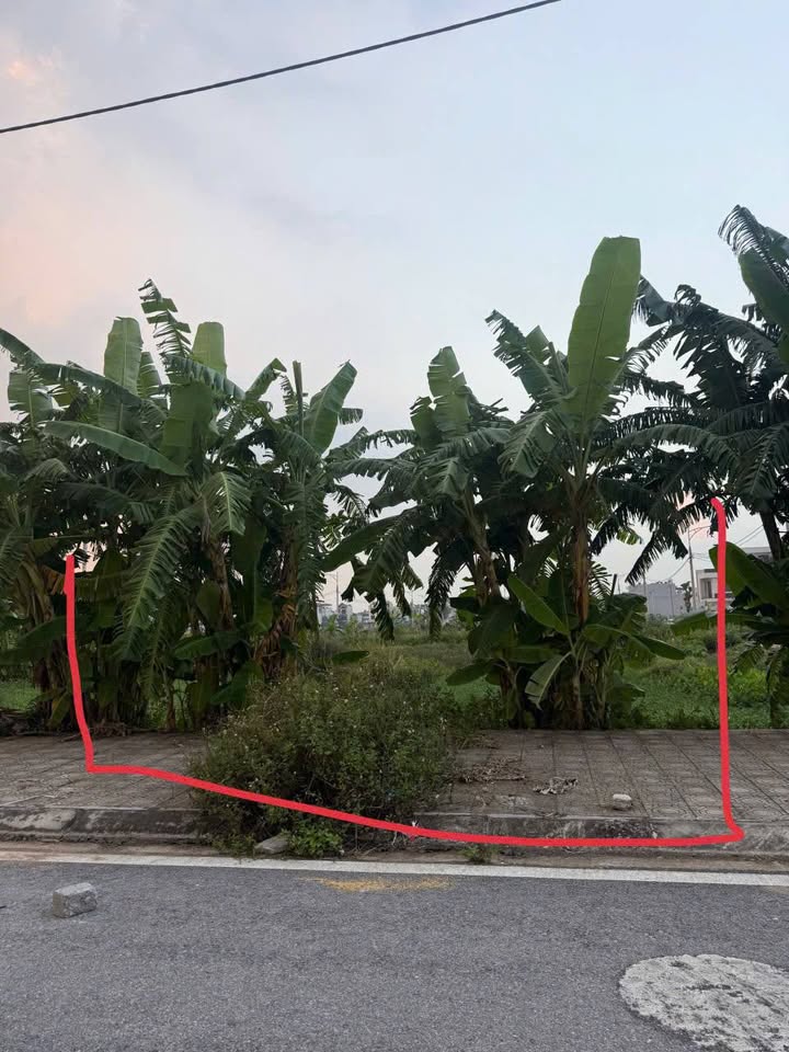 Đất nền liền kề tổ 7 Lê Hồng Phong 96.4m² giá chỉ 2.3 tỷ - Đầu tư sinh lời ngay!