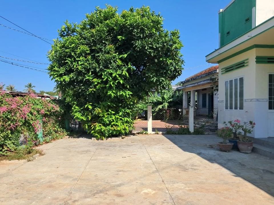 Đất nền Phước Hậu Cần Giuộc 347m² giá 1.25 tỷ - Đầu tư sinh lời ngay!