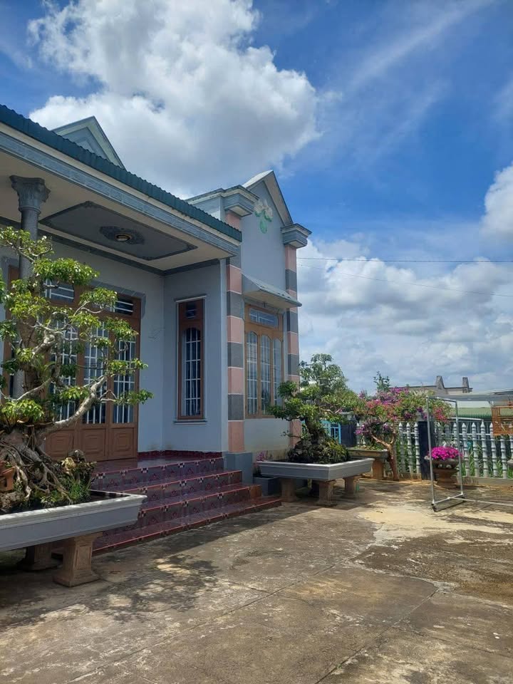 Đất nền mặt đường Tân Văn, Lâm Hà 858m² giá 5 tỷ - Đầu tư sinh lời ngay!