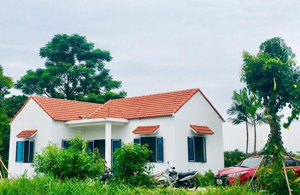 Farm Tân Trường, Cẩm Giàng 8000m² giá 2 tỷ - Không gian xanh lý tưởng!