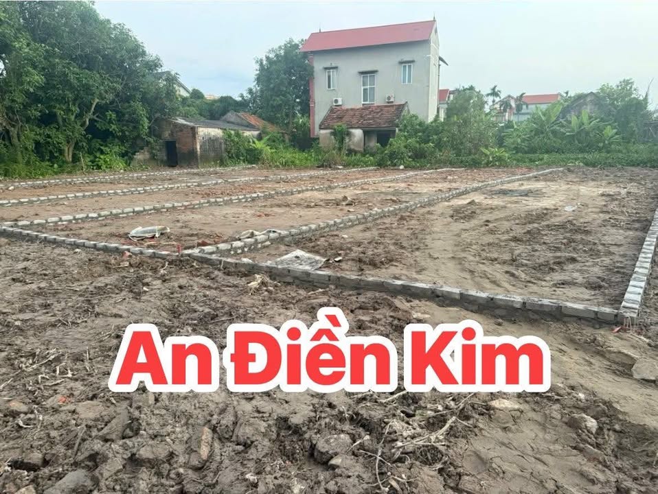 Đất nền Bến Cát 100m² giá chỉ 700 triệu - Bán gấp chính chủ!