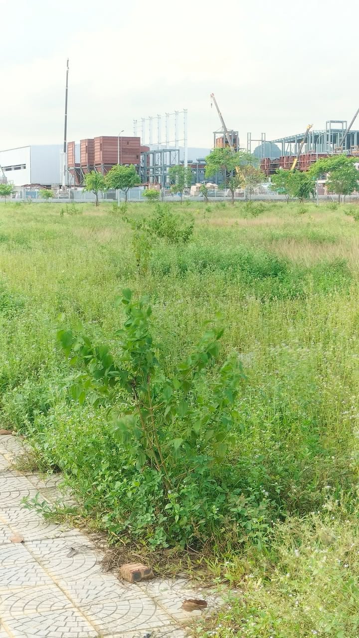 Đất thổ cư Quảng Đức 1750m² giá 3 tỷ - Cơ hội đầu tư tuyệt vời!