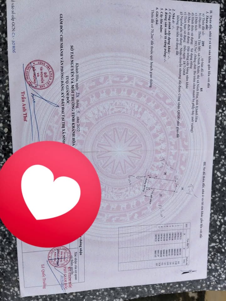 Đất nền chính chủ Tân Mỹ - Ninh Xuân 393m² giá chỉ 800 triệu - Cơ hội đầu tư tốt!