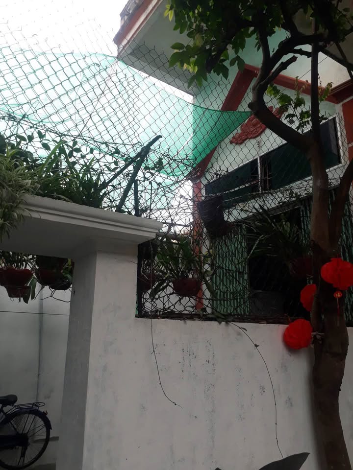 Nhà 2 tầng Trần Lãm 50m² - Hướng Nam, chính chủ bán gấp!