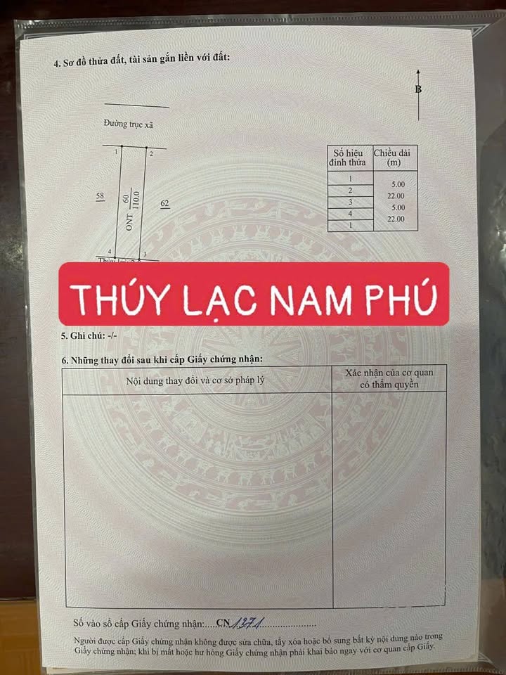 Đất nền Nam Phú Tiền Hải 100m² giá 2.4 tỷ - Cơ hội đầu tư lý tưởng!