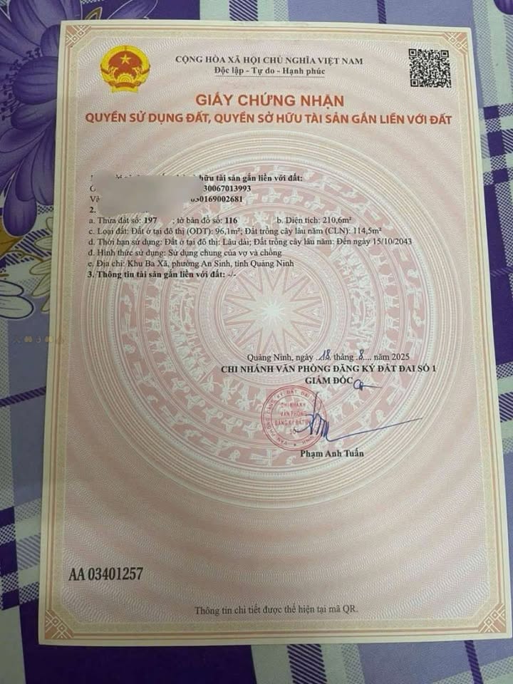 Bán đất đẹp An Sinh Đông Triều 200m² - Vị trí thuận lợi, phong thủy tốt!