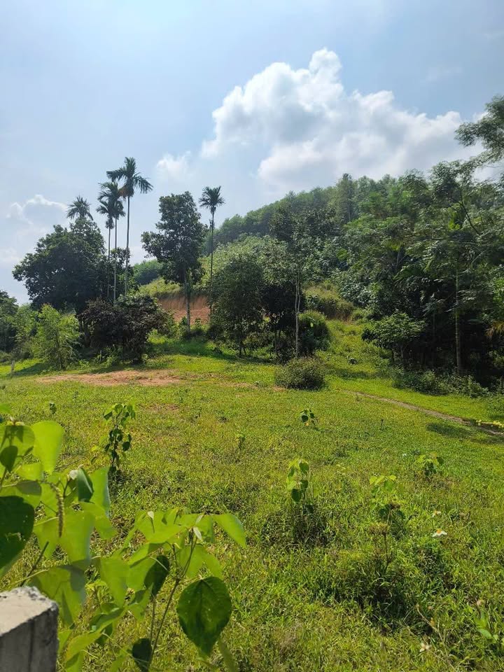 Đất nền Minh Hòa, Yên Lập, Phú Thọ 4881m² giá 900 triệu - Sổ đỏ chính chủ, sẵn sàng công chứng!