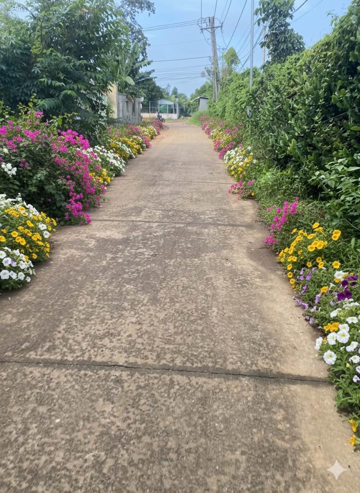 Đất mặt tiền Suối Tre Long Khánh 500m² giá 690 triệu - Đầu tư sinh lời lý tưởng!