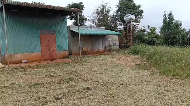 Đất thổ cư 14,000m² tại Đăk Rtih, Tuy Đức chỉ 1.6 tỷ - Đầu tư sinh lời lý tưởng!