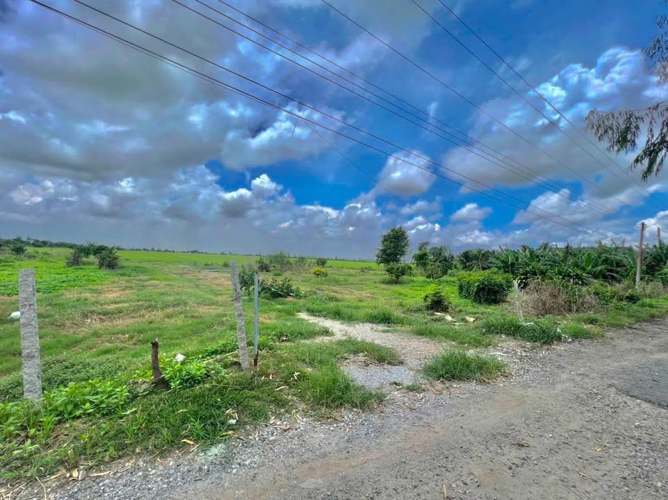 Đất nông nghiệp Thoại Sơn 126000m² giá thỏa thuận - Cơ hội đầu tư hiếm có!