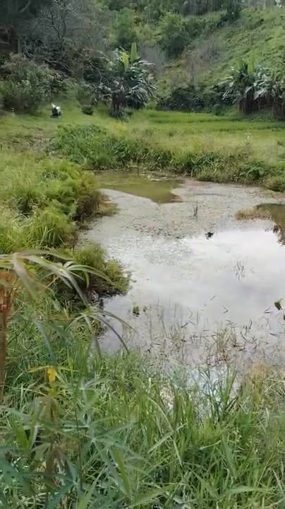 Đất nông nghiệp Đạ M' Rong 15000m² giá 550 triệu - Cơ hội đầu tư hấp dẫn!