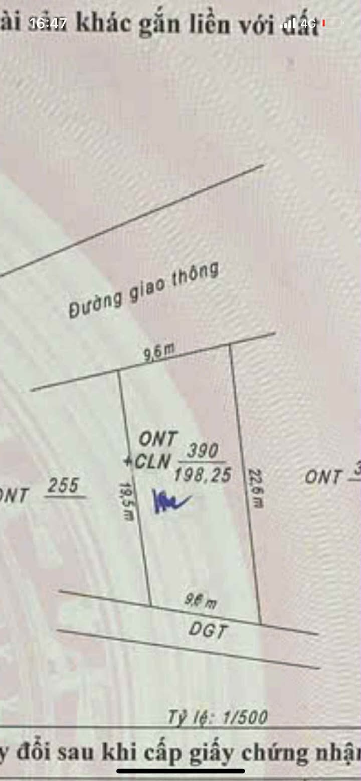 Đất Bảo Ninh Đồng Hới 211m² - Vị trí đắc địa, giá thỏa thuận!