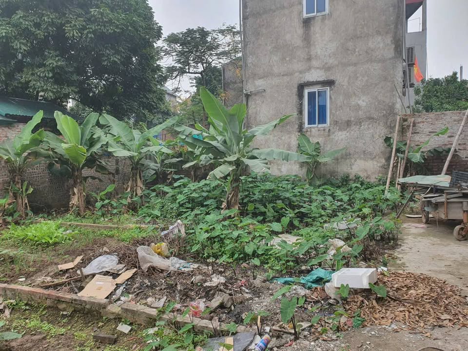 Đất nền Đồng Mai, Hà Đông 30m² giá 2.65 tỷ - Cơ hội đầu tư tốt!
